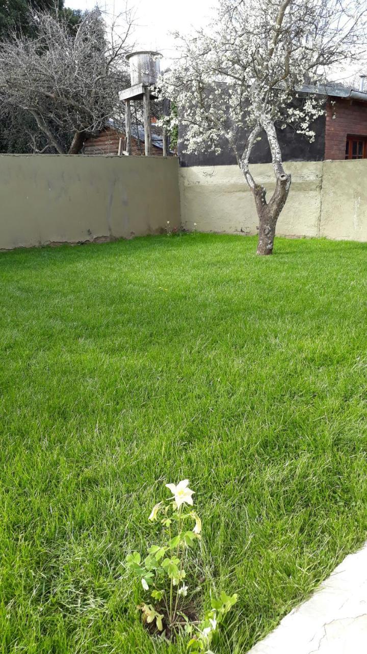 San Martin Garden San Martín de los Andes Exterior foto
